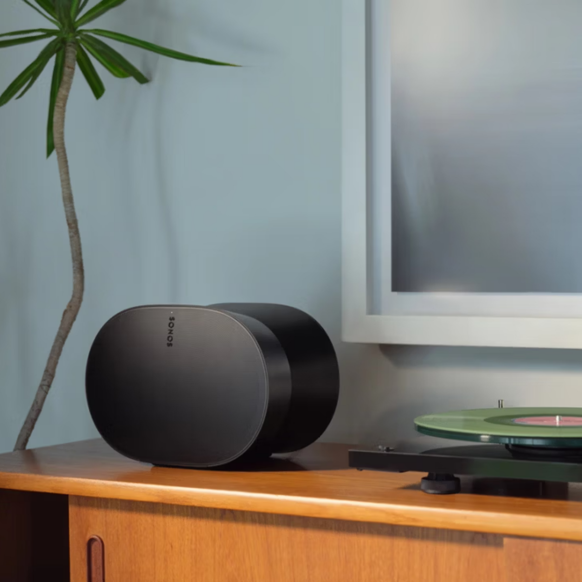 Ein schwarzer Sonos Era 300 Smart Speaker mit Dolby Atmos steht auf einem Holzregal neben einem Plattenspieler mit einer grünen Schallplatte, eingerahmt von einer hohen Pflanze und einem großen Fernseher oder Rahmen im Hintergrund.